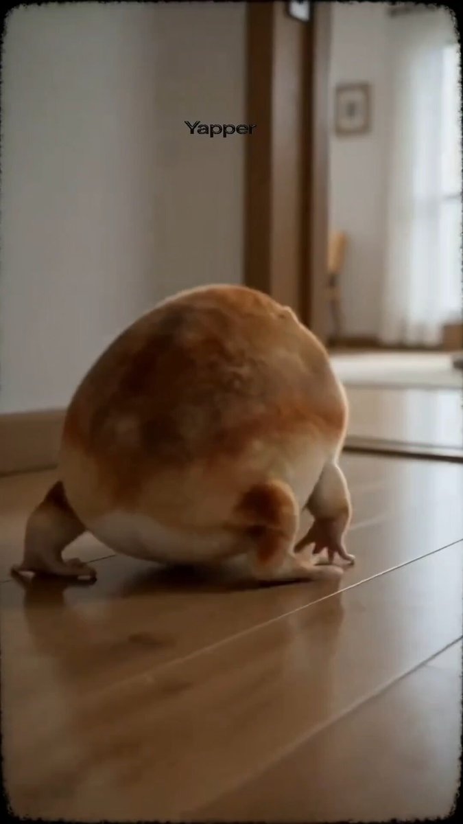 Realistic Cinematic Vertical Video: A Fat, Dog-like Creature