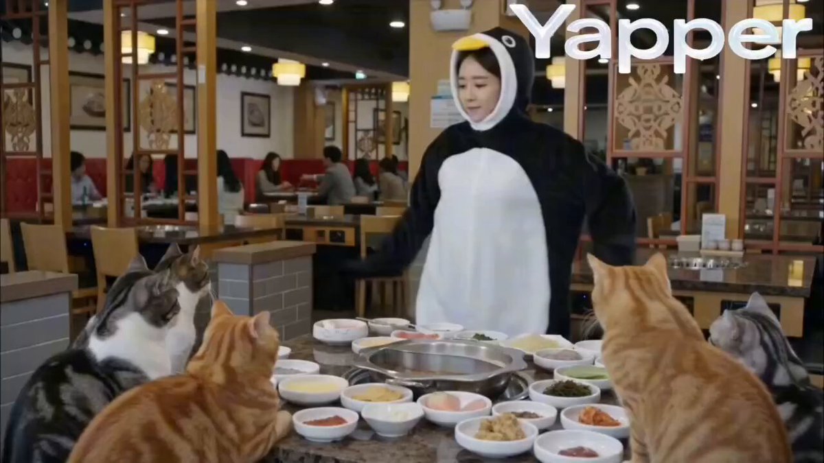 Penguin Dancer at Cat Hotpot Restaurant