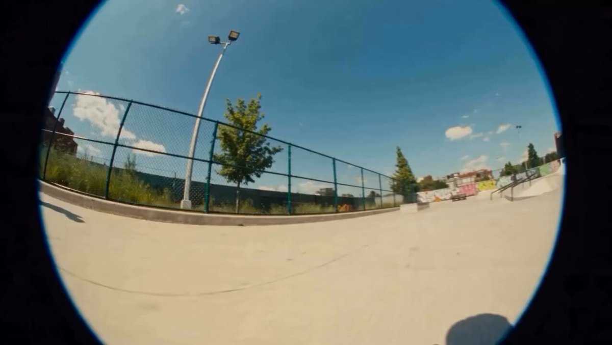 Surreal Skateboarding Dachshund