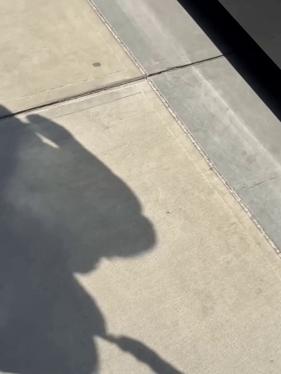 Raw iPhone Bystander Footage Template