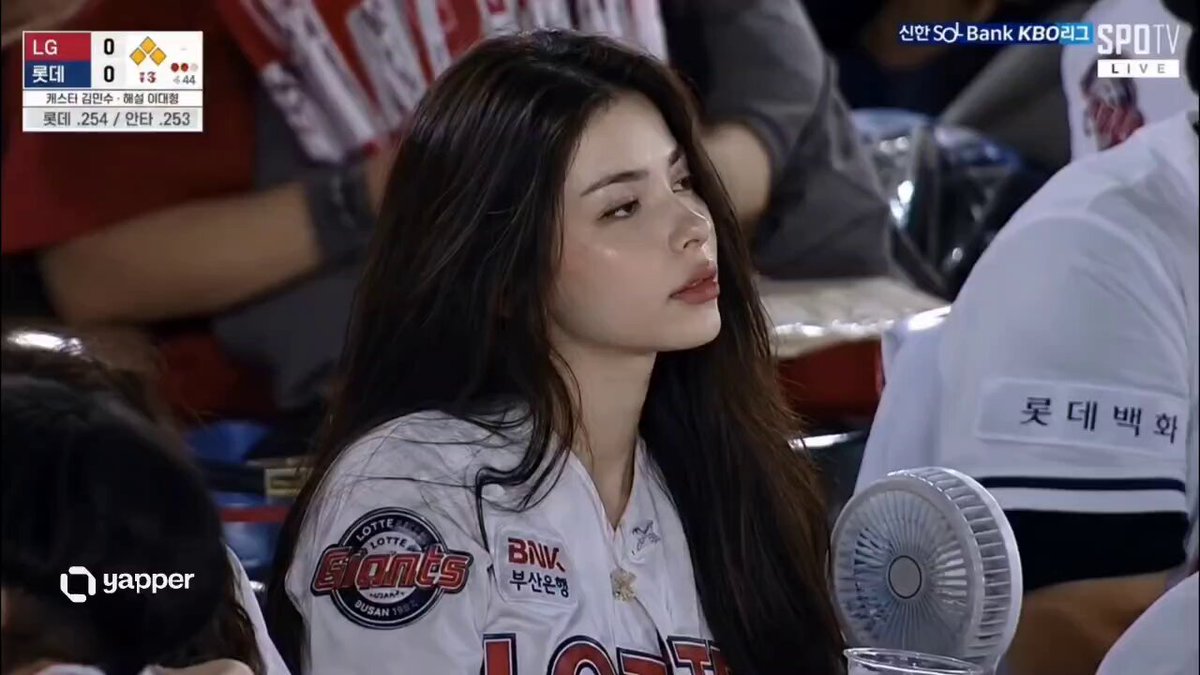 Korean Baseball Stadium Audience Snapshot